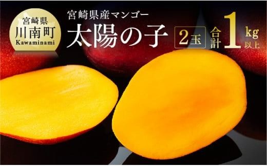 マンゴー [令和8年発送]宮崎マンゴー 太陽の子2玉(1kg以上) [ 果物 くだもの フルーツ 宮崎マンゴー ] [C06701]
