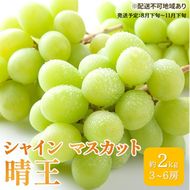 ぶどう 2026年 先行予約 シャイン マスカット 晴王 3房～6房 約2kg ブドウ 葡萄  岡山県産 国産 フルーツ 果物 ギフト 果物類