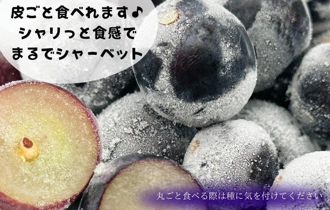 冷凍 種あり 巨峰 約500g 秀優混合 サイズミックス 和歌山県産 産地直送 ぶどう クール便  【みかんの会】AX397