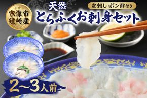 漁師お勧め！天然 とらふぐ てっさ（お刺身セット）2～3人前【宗像漁協】_HA0467