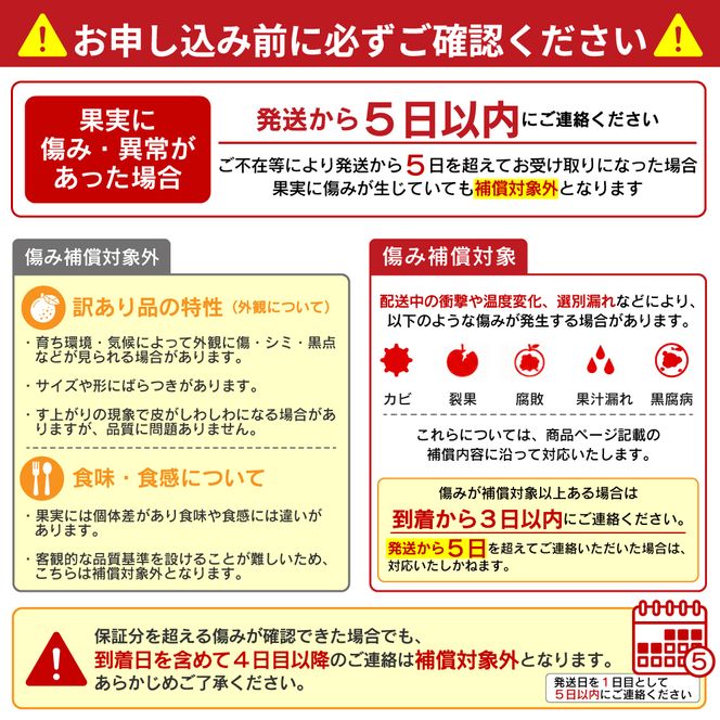 【先行予約】第一マルエムの甘夏10kg
