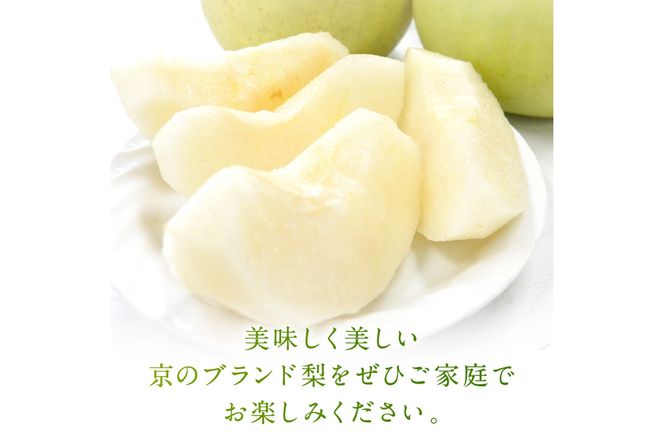 【先行予約／数量限定150】20世紀梨 5kg（2026年9月上旬～発送）　JK00038
