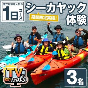 期間限定実施 シーカヤック体験チケット(1日/3名) 阿久根 シーカヤック アウトドア アクティビティ 自然 体験 ツアー チケット マリンスポーツ【パズル】akn098-17
