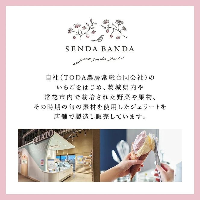 SENDA BANDA ジェラート詰め合わせ＜120ml×6個＞