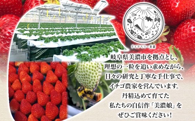 いちご 美濃娘 6粒 150g以上 苺 イチゴ フルーツ 旬 甘い 果物 みのむすめ 国産 おやつ デザート ギフト プレゼント ダイヤベリー美濃 岐阜県 美濃市 お届け:2027年1月1日～3月10日