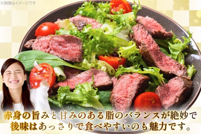 AJ527 【6回定期便】長崎和牛 ランプ ステーキ 約300g (150g×2枚)  [ 肉 牛肉 和牛 高級 モモ 外モモ 内モモ 牛モモ肉 おいしい ステーキ肉 まるしん商会 黒牛 長崎県 島原市 ]