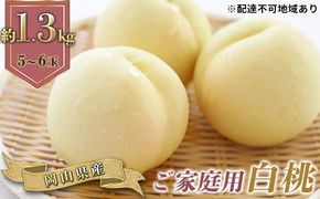 桃 2026年 先行予約 ご家庭用 岡山の 白桃 早生種 5～6玉 合計約1.3kg もも モモ 岡山県産 国産 フルーツ 果物 ギフト