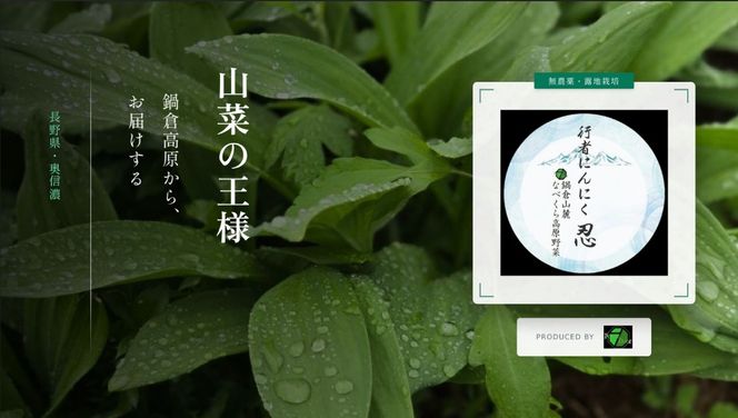 【令和9年産先行予約】＼訳あり／行者にんにく 忍 500g入り 1箱(70枚～75枚)《出荷時期：2027年5月中旬頃〜》株式会社ForestDoor  (Ce-014)
