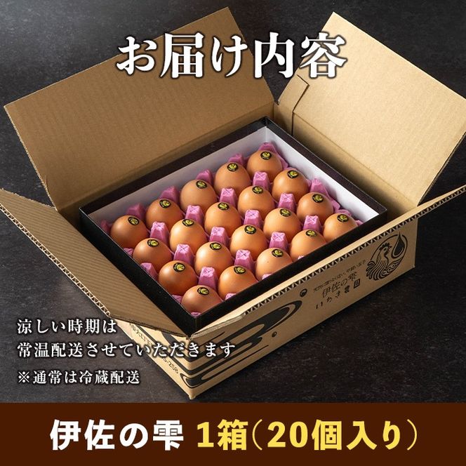 isa747 いちき農園の伊佐の雫(計20個) たまご 卵 平飼い 鶏 低コレステロール 抗生物質不使用 卵かけご飯 TKG 贈答用 プレゼント 【いちき農園】