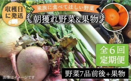 [全6回定期便]こだわり 野菜 (7品前後) セット + 果物 [糸島][オーガニックナガミツファーム] [AGE010] 野菜セット 野菜 やさい サラダ 詰め合わせ トマト とまと 野菜野菜セット 野菜やさい 野菜サラダ 野菜詰め合わせ 野菜トマト 野菜とまと 野菜ベビーリーフ 野菜水菜 野菜ハーブ 野菜オクラ 野菜人参 野菜にんじん 野菜ニンジン 野菜ほうれん草 野菜クレソン 野菜かぼちゃ 野菜カボチャ 野菜じゃがいも 野菜玉ねぎ