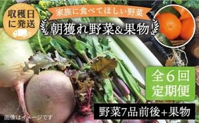 【全6回定期便】こだわり 野菜 （7品前後） セット ＋ 果物 《糸島》【オーガニックナガミツファーム】 [AGE010] 野菜セット 野菜 やさい サラダ 詰め合わせ トマト とまと 野菜野菜セット 野菜やさい 野菜サラダ 野菜詰め合わせ 野菜トマト 野菜とまと 野菜ベビーリーフ 野菜水菜 野菜ハーブ 野菜オクラ 野菜人参 野菜にんじん 野菜ニンジン 野菜ほうれん草 野菜クレソン 野菜かぼちゃ 野菜カボチャ 野菜じゃがいも 野菜玉ねぎ