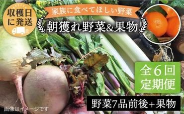 [全6回定期便]こだわり 野菜 (7品前後) セット + 果物 [糸島][オーガニックナガミツファーム] [AGE010] 野菜セット 野菜 やさい サラダ 詰め合わせ トマト とまと 野菜野菜セット 野菜やさい 野菜サラダ 野菜詰め合わせ 野菜トマト 野菜とまと 野菜ベビーリーフ 野菜水菜 野菜ハーブ 野菜オクラ 野菜人参 野菜にんじん 野菜ニンジン 野菜ほうれん草 野菜クレソン 野菜かぼちゃ 野菜カボチャ 野菜じゃがいも 野菜玉ねぎ