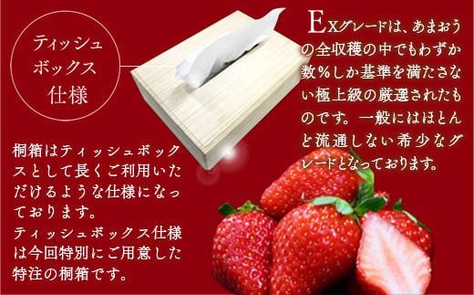 【先行予約】 ティッシュボックス用特別仕様の桐箱入りプレミアムあまおう あまおうEX400g×1パック ギフト お祝い 贈答用 ※2025年2月上旬〜4月中旬にかけて順次出荷予定　MY010