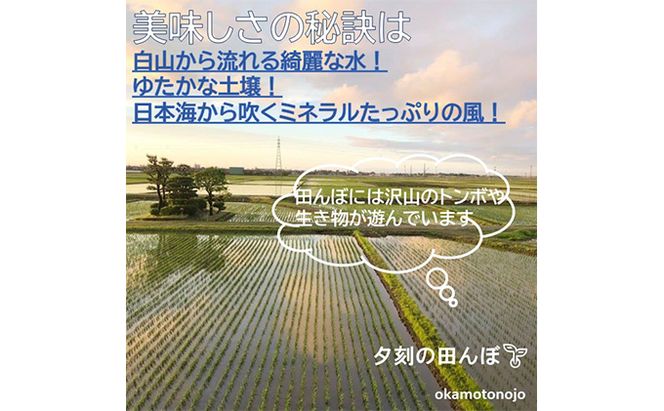2022年日本農業賞「大賞」【４カ月連続】お米農家のわくわく便(4種類×4.5kg精白米） コシヒカリ 