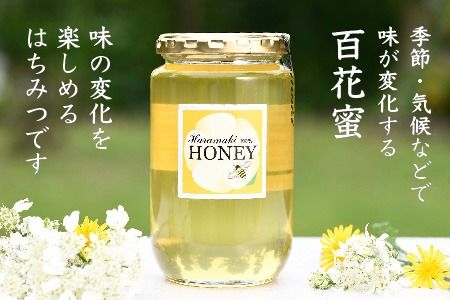 【数量限定】2025年産 国産天然蜂蜜（春の蜜）500g & 470g【合計970g】【蜂蜜 パンケーキ ヨーグルト 甘み フルーティ とろとろ】(H049114)