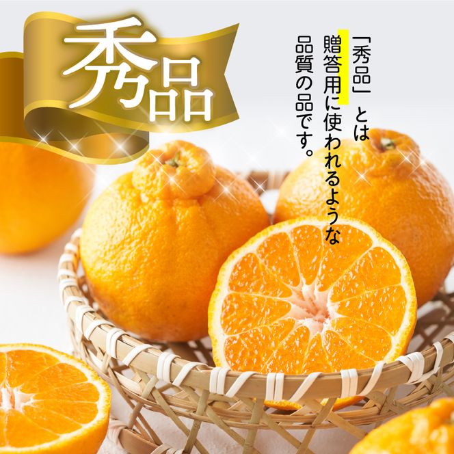 U6300_【2027年先行予約】デコポン 秀品 18玉～24玉 和歌山県有田産