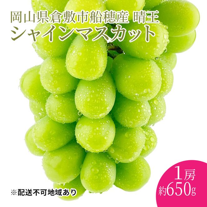ぶどう 2026年度分 先行予約 【プレミアムシャインマスカット 晴王 1房 約650g】船穂産　赤秀品以上  岡山県産 葡萄 ブドウ ギフト ハレノフルーツ 皮ごと食べる みずみずしい 
