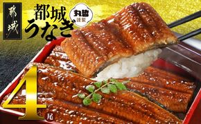 宮崎県育ちのうなぎ蒲焼4尾720g以上≪山椒・たれ付≫_AE-M301