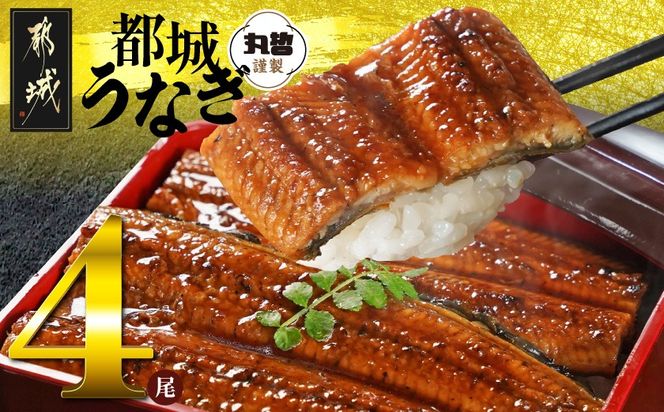 y{茧ssz{茧炿̂Ȃ4720gȏREt_AE-M301