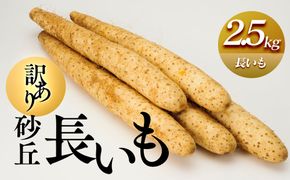 943.【訳あり】砂丘長いも2.5kg  長芋 ながいも 鳥取県産≪野菜 やさい≫※11月上旬頃～3月下旬頃に順次発送予定● 313726_AN009