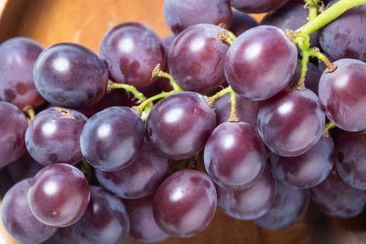 ぶどう 藤稔 6P 国産 果物 くだもの 青果 フルーツ 葡萄 ブドウ グレープ ジューシー デザート やすらぎ市 高知県 香南市 冷蔵 yr-0100