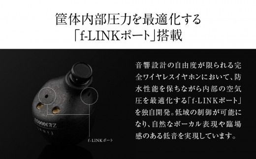 ANC完全ワイヤレスイヤホン final ZE3000 SV ZE3000後継機 /ノイズキャンセリング/ノイキャン/外音取り込み/マイク付き