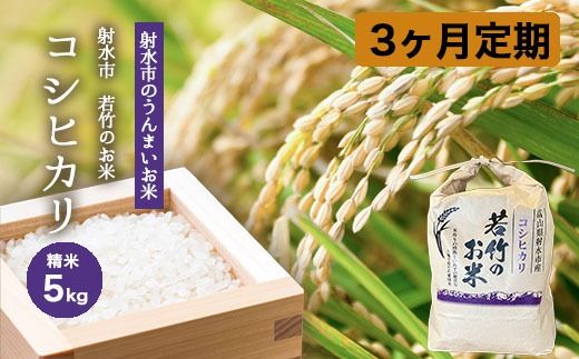 【3ヶ月定期便】【射水市】【射水の美味しいお米】若竹のお米 R8年度産コシヒカリ5kg | 新米 先行予約 令和8年産米 ブランド米 こしひかり 銘柄米 こめ 白米 富山県 ※離島への配送不可 ※2026年10月上旬～10月下旬頃に順次発送予定