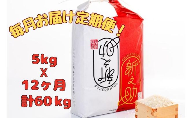 【通年受付】令和7年産魚沼産新之助　精米5kg　全12回 十日町市 十日町 米