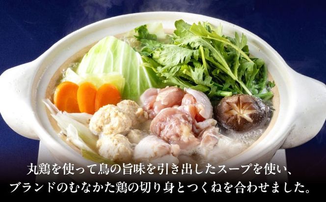 むなかた鶏使用　水炊き2人前 築上町 / 株式会社　海千[ABEQ027]