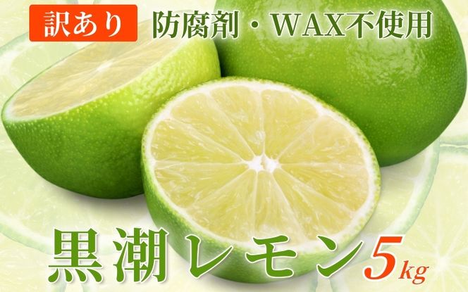 ya̎RI쒬zs\񁄂킯 5kg+250giݕ⏞jya̎RLcYzyh܁EWAXsgpAS̍Yzy킯E󂠂背zyikd031Cz