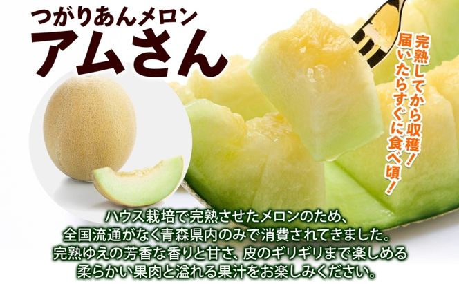 青森県産 つがりあんメロン 「アムさん」 2Lサイズ 1玉 完熟 甘い ジューシー ハウス栽培 弘果弘前中央青果 産地直送 メロン フルーツ 果物 ギフト 贈答 青森県 鶴田町