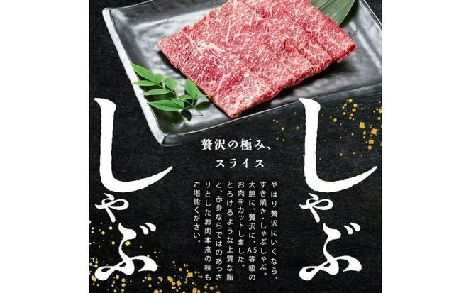 【小分け】＜A5等級＞鹿児島県産 黒毛和牛 牛肉 赤身 しゃぶしゃぶ すき焼き スライス (200g×5P/計1kg) a9-052