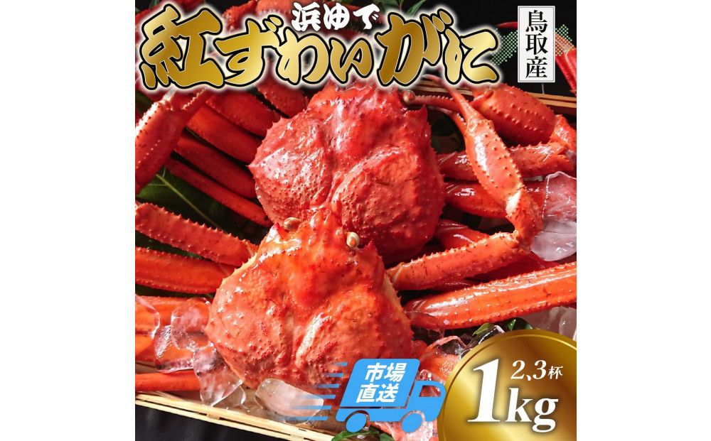 鳥取から直送! 釜茹で 紅ズワイガニ1kg(2〜3杯) 未冷凍[ボイル] 312011