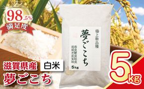 【7年産】近江米夢ごこち【5kg×1袋】【T034W3】