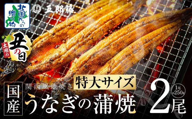 015B385d 【7/26土用の丑の日】超ビッグサイズ！数量限定！老舗「五郎藤」 関西風地焼き 国産有頭旨鰻 250g×2尾【特大 うなぎ ウナギ 蒲焼き 炭火】