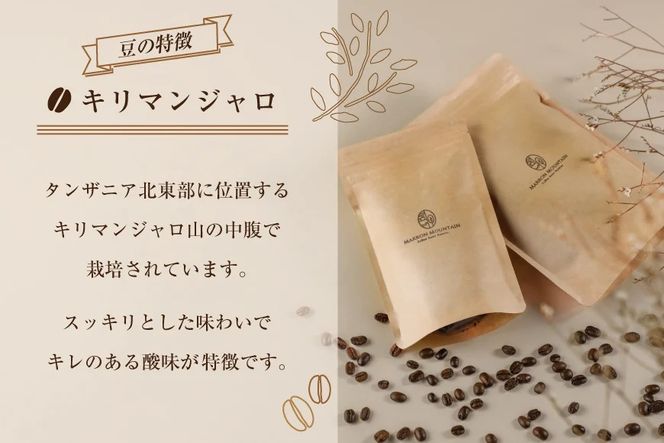 定期便 6回 コーヒー豆 3種セット 100g×3袋 [MARRON MOUNTAIN 埼玉県 小川町 307] 珈琲 ドリップ ダブルロースト製法 フルシティロースト