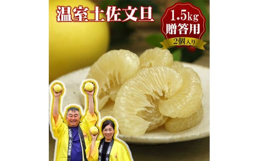 【先行予約】特選温室土佐文旦 特選秀品ご贈答用中箱 2個入り 約1.5kg〈2026年12月上旬～12月下旬頃〉 / 高糖度 温室 文旦 大玉サイズ ハウス文旦 柑橘 みかん フルーツ ぶんたん ブンタン 果物 お取り寄せ 高知県 土佐市【白木果樹園】 [BQAI037]