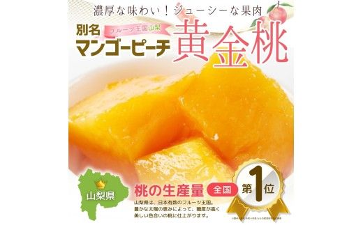 朝もぎ直送「黄金桃」5～8玉 約2kg規格箱入り【高機能共選機使用】選び抜かれた桃《もも 先行予約》 2026年 夏 発送 山梨県産 モモ/ フルーツ 果物 くだもの 人気 産地直送/厳選  贈答 贈り物【tab0098】
