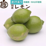 ＜9月より発送＞家庭用 レモン2.5kg+250g（傷み補償分）【和歌山有田産】【防腐剤・WAX不使用、安心の国産レモン】【わけあり・訳ありレモン】 ※北海道・沖縄・離島への配送不可 ※2025年9月中旬～2026年4月下旬頃に順次発送予定