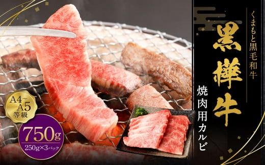 yF{Vsz ēpJr 750gi250g×3pbNj    uhјa a јa uh Ă ē BBQ o[xL[ Jr Ⓚ Y BY Ⓚ