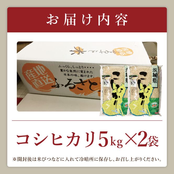 【数量限定】R7年産取手市産コシヒカリ 玄米10kg（5kg×2袋）|お米 米 こしひかり コシヒカリ 玄米 茨城県 取手市（BS004）