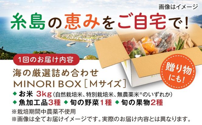 【全12回定期便】糸島産 魚 米 野菜 果物 厳選詰め合わせ MINORI BOX Mサイズ 糸島市 / emma.Inc / 米 魚 野菜 果物 詰め合わせ[AOP026]
