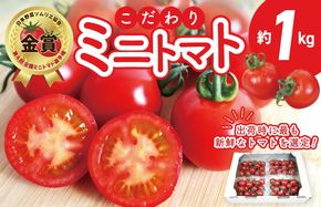 G3702 【先行予約】こだわり ミニトマト 4パック 合計 約1kg【選手権 金賞受賞 日本野菜ソムリエ協会 新鮮 野菜 泉佐野産 とまと やさい 高評価 数量限定】