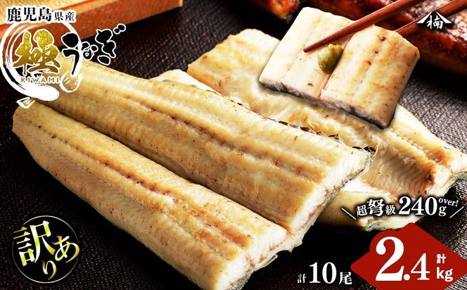 yuzuszy󂠂zYIc̋ɂȂĂ 10(v2.4kgȏE1240g`269g)? j0-005