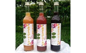 ぶどうジュース 3種飲み比べ 500ml×3本セット 【751】