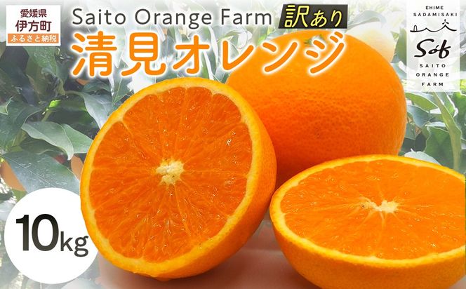 yQɕzys\zSaito Orange Farm̖󂠂萴IW10kgi2026N3{菇j IKTAQ010