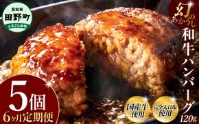 幻のあかうし和牛ハンバーグ 5個入り 6ヶ月定期便 1個120g 田野屋青蜂 白鯆 完全天日塩練り込み 肉 お肉 国産牛 土佐あかうし 四万十ポーク おかず 惣菜 おいしい お取り寄せ 冷凍 配送 高知県 田野町