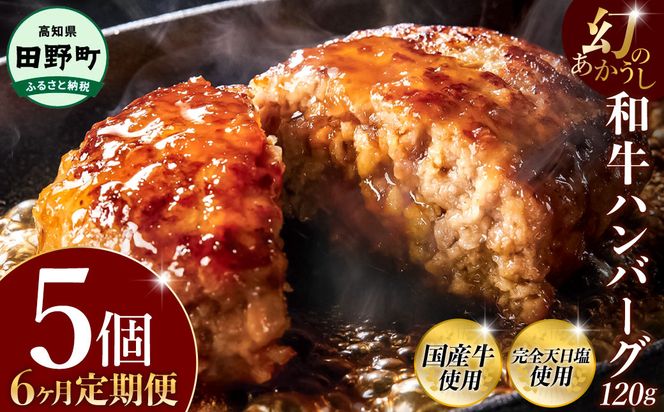 幻のあかうし和牛ハンバーグ 5個入り 6ヶ月定期便 1個120g 田野屋青蜂 白鯆 完全天日塩練り込み 肉 お肉 国産牛 土佐あかうし 四万十ポーク おかず 惣菜 おいしい お取り寄せ 冷凍 配送 高知県 田野町