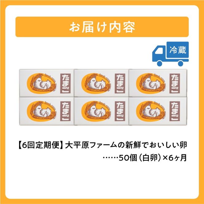 【6回定期便】大平原ファームの新鮮でおいしい卵 計50個(白卵)×6ヶ月_S035-0007