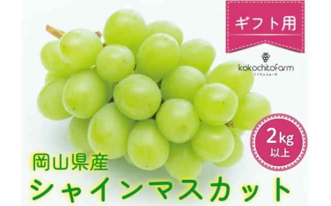 【2026年先行予約】 ここちとふぁーむ 【ギフト】 岡山県産 シャインマスカット 3～5房 2kg以上 【koko004-02】